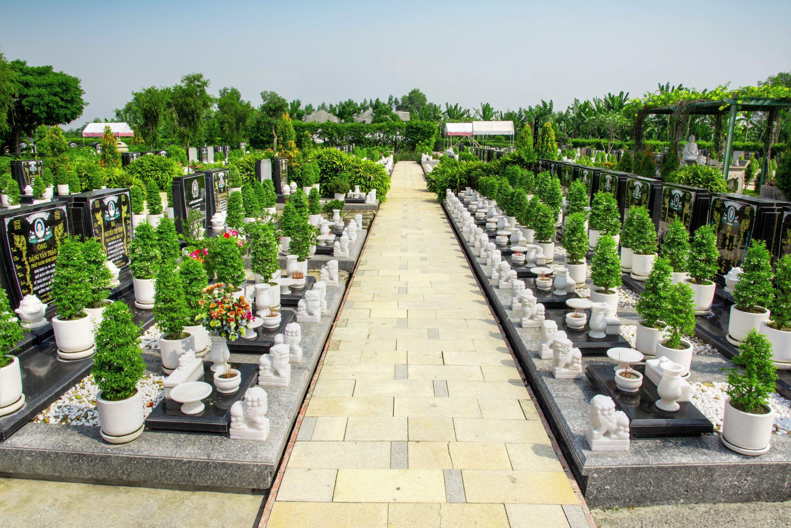 chọn mộ cải tàng