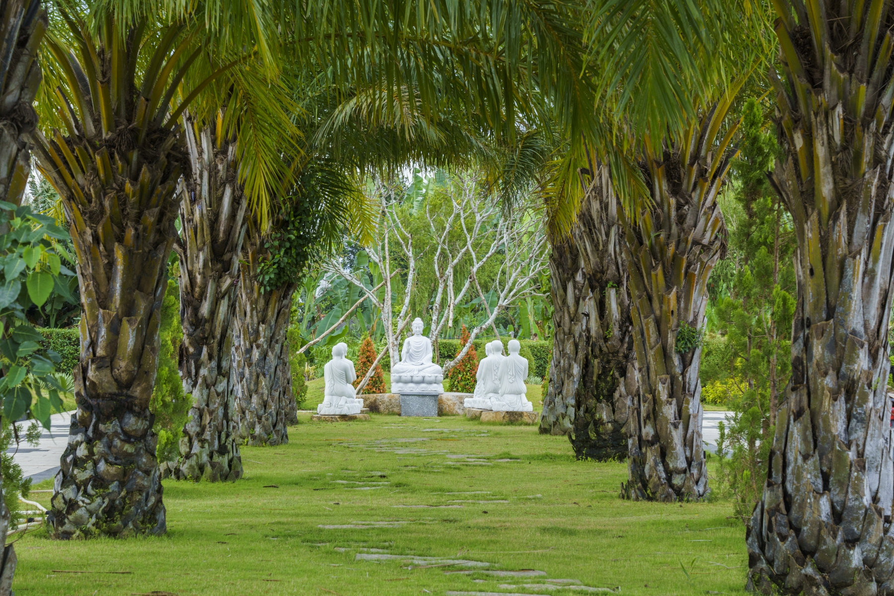 DSC00198.