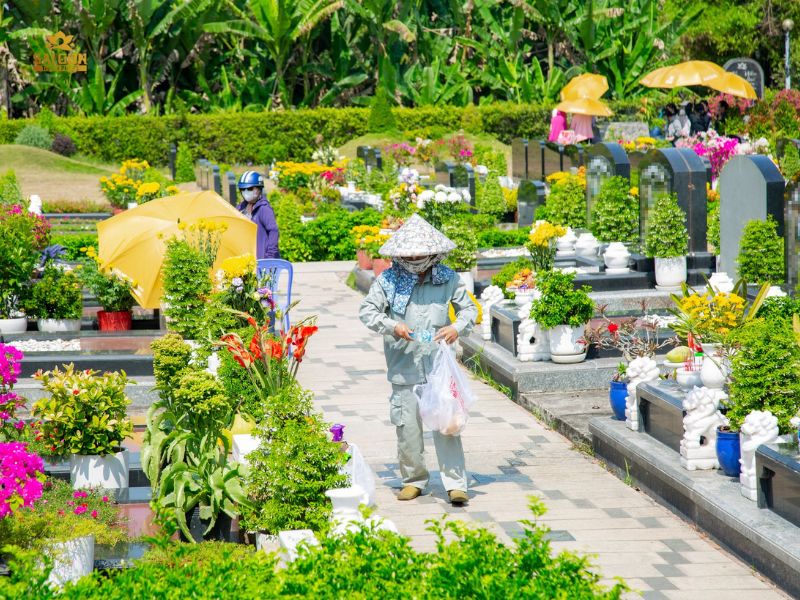 Dịch vụ trồng hoa trên mộ tại Sài Gòn Thiên Phúc