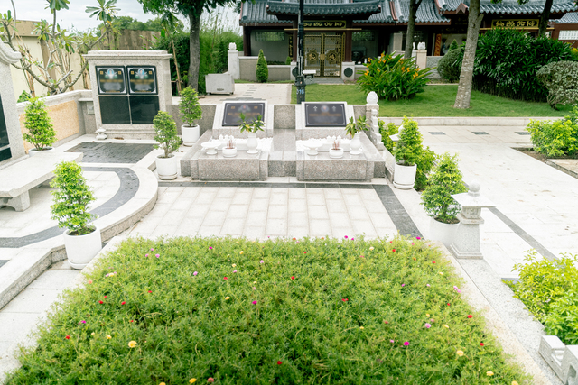 Những đóa hoa tươi thắm nở rộ tại phần đất dưỡng sanh
