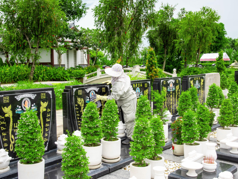 Dịch vụ chăm sóc mộ phần tại Sài Gòn Thiên Phúc