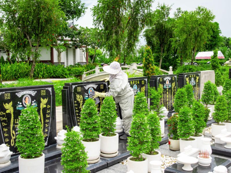 5 Lý Do Nên Mua Đất Dưỡng Sanh Tại Sài Gòn Thiên Phúc